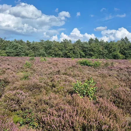 Op De Veluwe * Putten