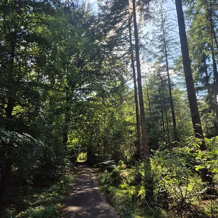 Op De Veluwe * Putten