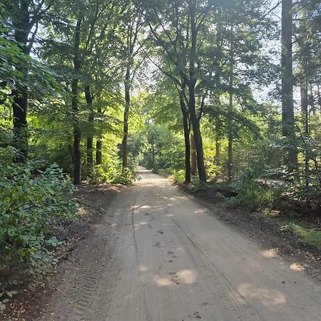 Chalet Op De Veluwe