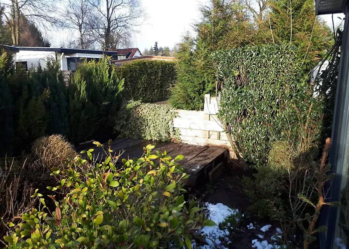 Chalet Op De Veluwe *