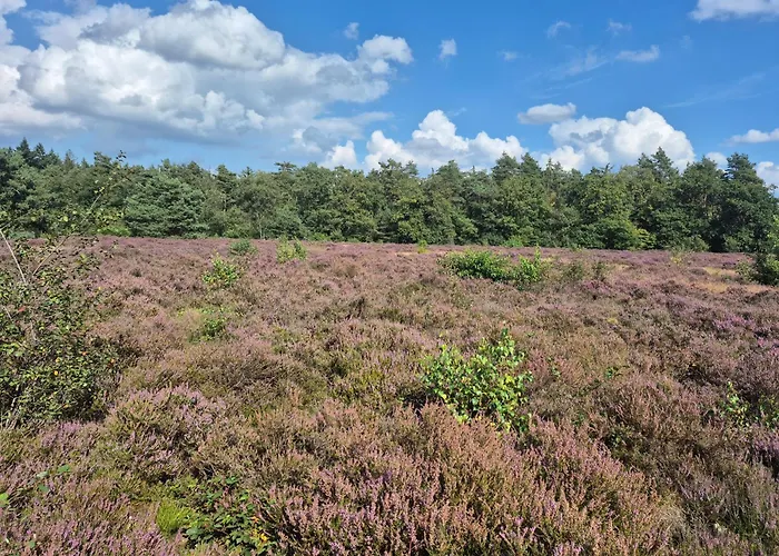 Op De Veluwe * Putten