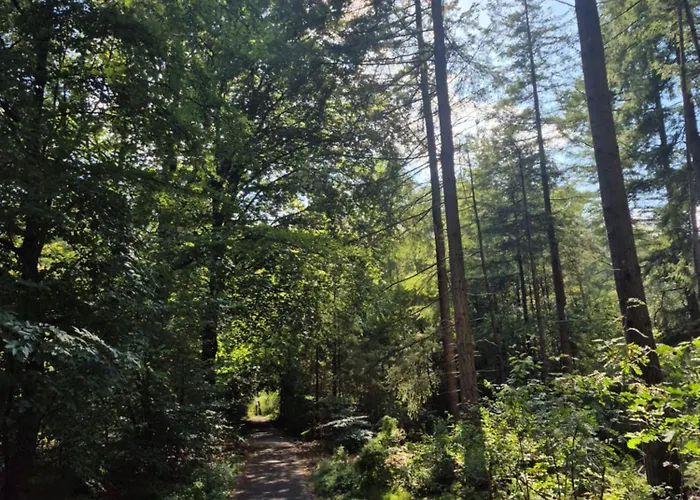 Op De Veluwe * Putten