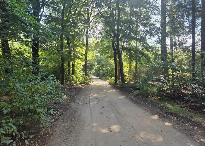 Chalet Op De Veluwe