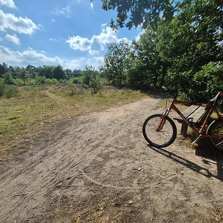 Op De Veluwe Chalet