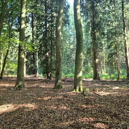 Op De Veluwe Putten